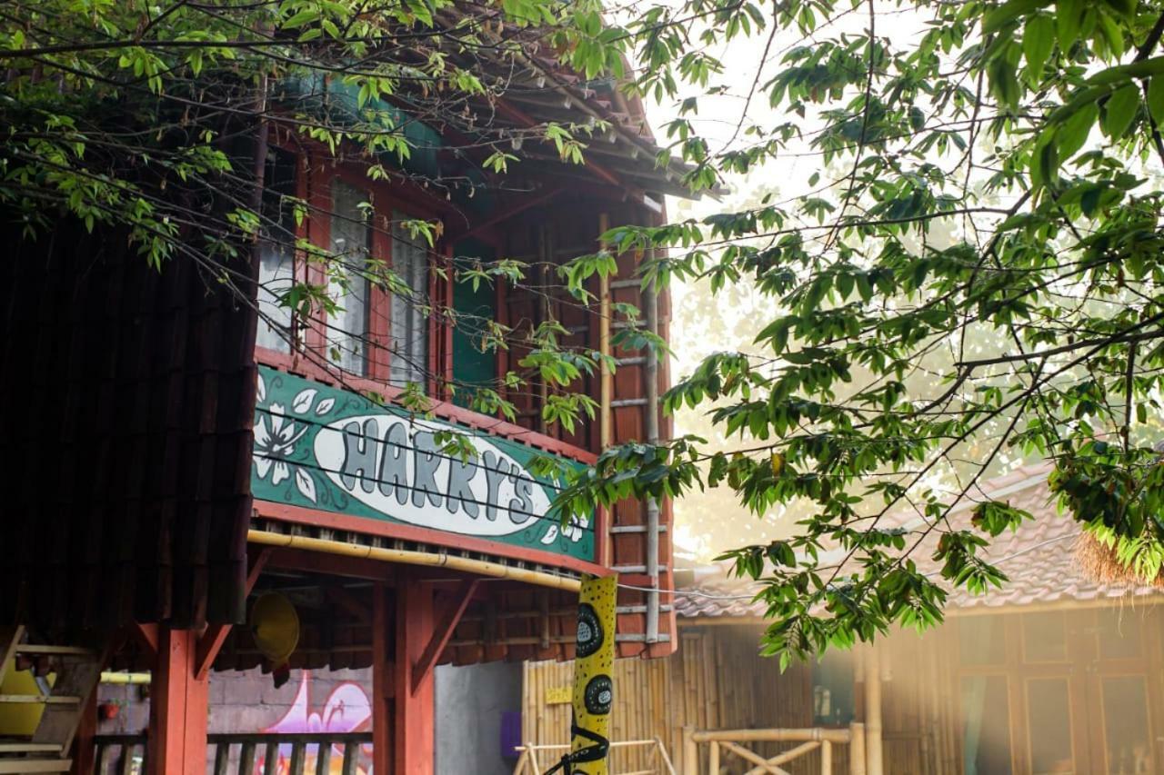 Harry'S Ocean House Watukarung Homestay Kalak Екстер'єр фото
